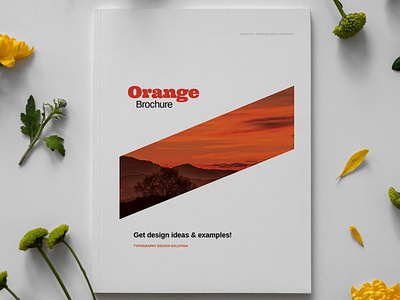Orange Brochure Layout Template