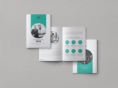 The Corporate Brochure