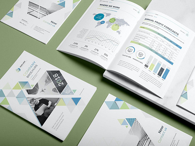 Company Brochure a4 abstract booklet brand brochure business catalog clean company design identity illustration indesign layout magazine marketing print printable report template