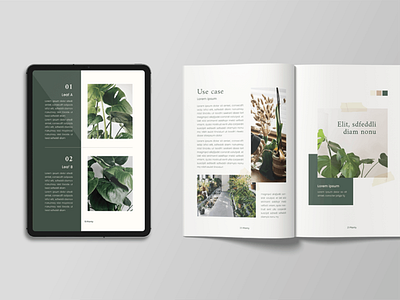 Planty Magazine