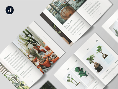 Planty Magazine