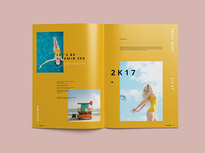 Multipurpose Portfolio Brochure Template