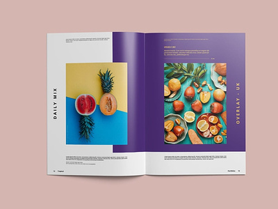 Multipurpose Portfolio Brochure Template