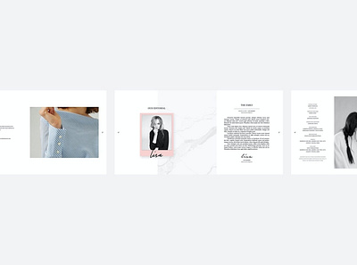 Emily Magazine 3d annaul report brochure catalog catalog mockups clean corporate design dimesional elegant graphic indesign magazine mockups perspective print printable psd report template