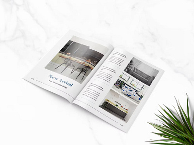 FREE Furniture Magazine Template