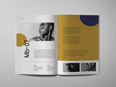 Ragile Brochure Portfolio