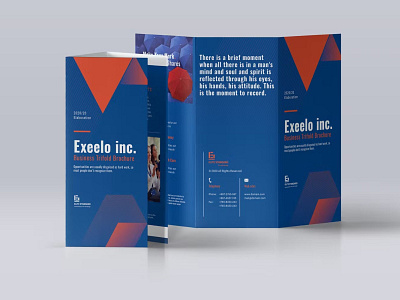 Trifold Brochure agency annual report catalog clean design foldable folded illustration indesign indesign files magazine master pages paragraph style portfolio template prentation print printable template trifold brochure working