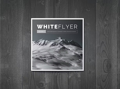 WhiteFlyer Square Trifold agency annual annual report catalog clean design illustration indesign indesign files magazine master pages paragraph style portfolio template prentation print printable square template whiteflyer working