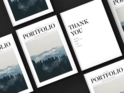 Newspaper Portfolio Brochure