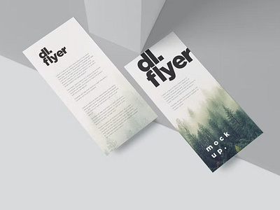 FREE Single Page DL Flyer Mockups