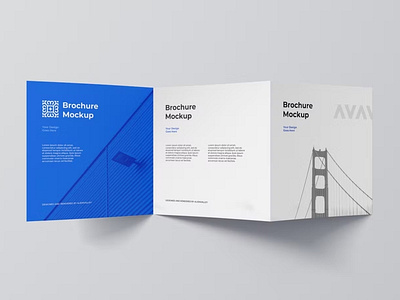 Trifold Brochure Mockup