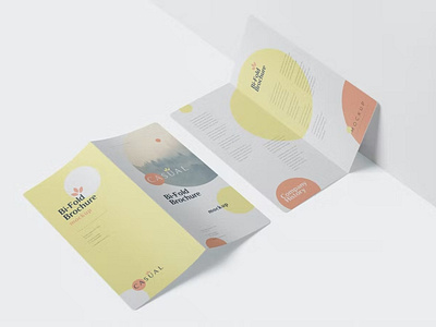 DL Bi-Fold Brochure Mock-Up Set - Round Corner