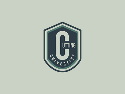 Day38 - College University Logo branding dailylogo dailylogochallenge design graphic graphic design illustration illustrator logo logodesign minimal typography vector