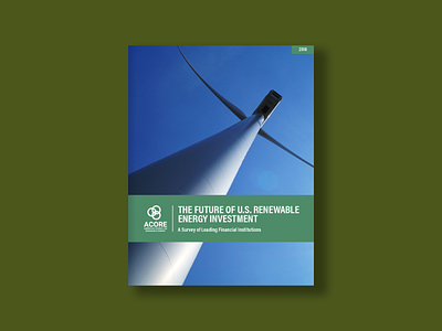 The Future of U.S. Renewable Energy Investment Survey design report