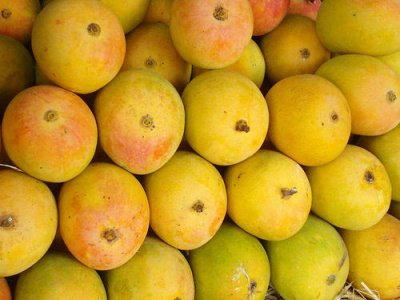 alphonso mango price