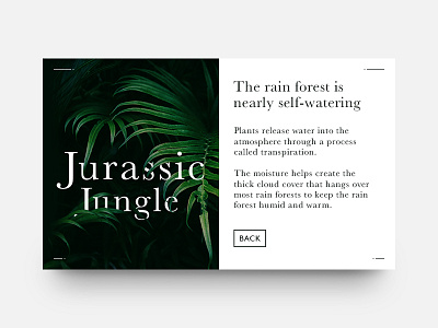 Article Card Expanded - Jurassic Jungle article black blog card cards green jungle magazine minimal type typography