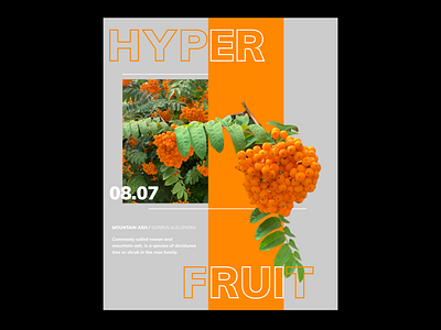 HYPER FRUIT beer branding design experimental illustration layout lettering photography poster design print typography vector