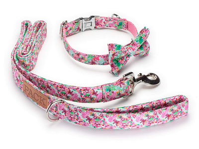 PACK Spring Illustrated Prints all over print branding dog collar dog leash floral floral print illustration logo design painted paisley pattern design pattern designer print design product design repeat pattern repeat print surface pattern surface pattern design textile design tropical print