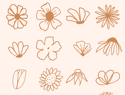 Flower Study adobe illustrator brand identity branding design flower study graphic design illustration illustrator motion graphics one line drawing procreate typography vector