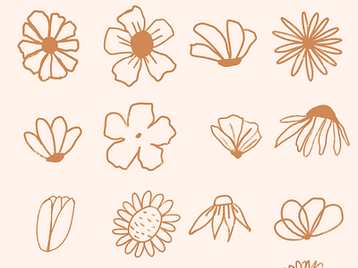 Flower Study