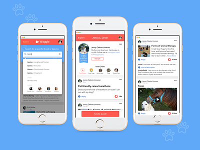 Waggle.tv animals autosuggest communities discovery education entertainment icon design information architecture messages mobile first pets platform posts responsive web design search ui user generated content user profile ux design web design