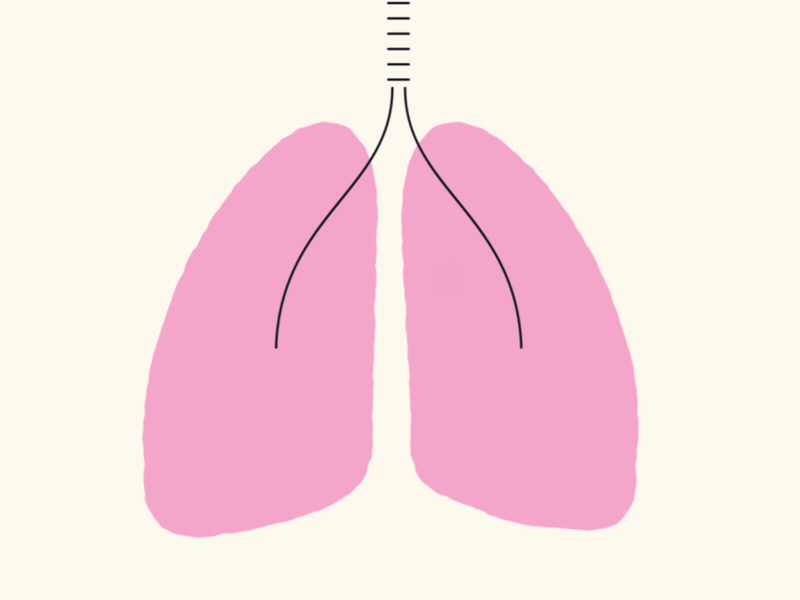 Lungs loop
