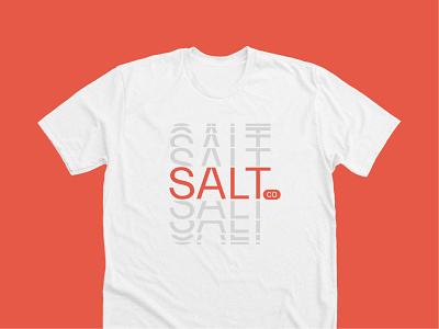 Salt Co Shirts apparel branding college identity ministry print design salt salt co shirts typeface vector