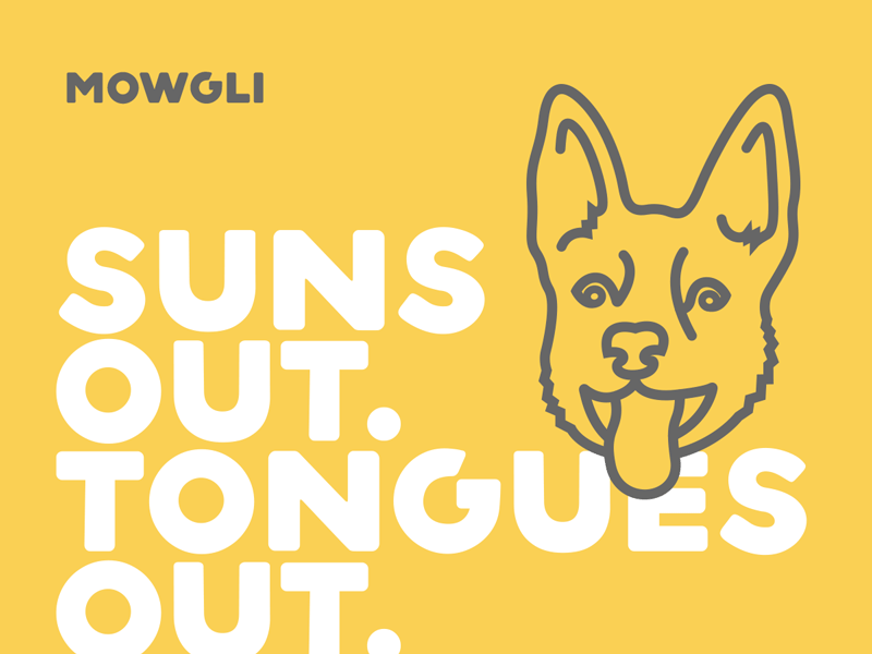Suns Out. Tongues Out. dog illustration kelpie line mowgli sun out tongues out vector