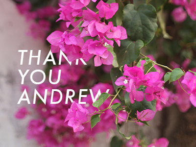 Thank you Andrew! flowers photography pink type