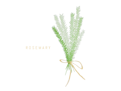 Rosemary Bundle
