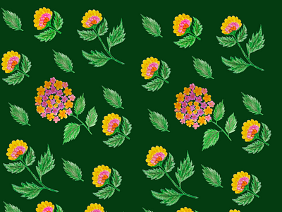 floral illustration pattern branding graphic design illustration ui