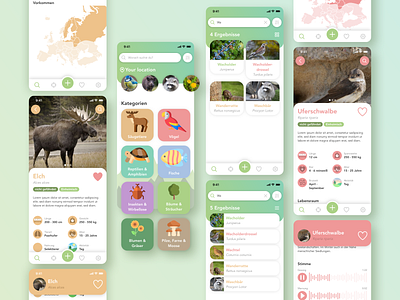 Nature Guide App animal animals app design illustration nature ui ux