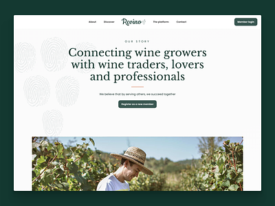 Revino, the newest wine platform branding platform pwa ui ux web design webapp webdesign website