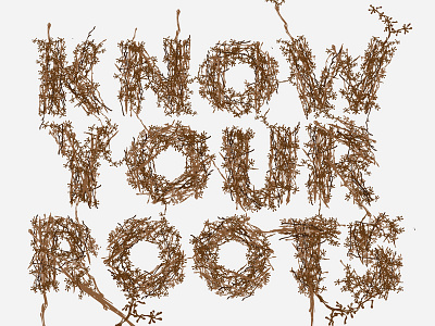 Know Your Roots graphic design skillshare teacher type design typography