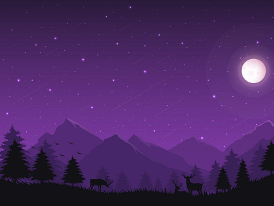 One of those midnight skies... animation art design illustration illustration art illustrator ui ux vector art vector illustration vectorart vectors visual visual art visual identity visualization