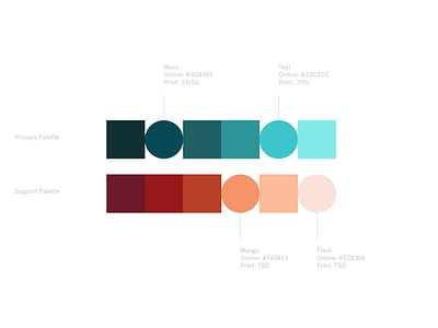 DKB Color Profile color guidelines math times joy system