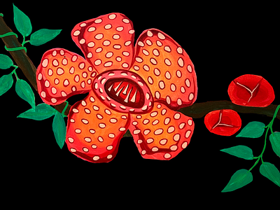 Rafflesia painting illustration