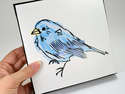 Brian the Mountain Bluebird bird blue digital watercolor sketch wacom bamboo