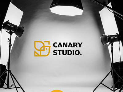 Canary Studio bird canary entertainment yellow
