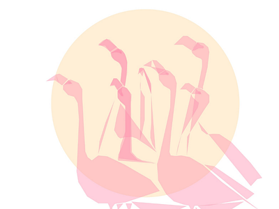 Flamingo color