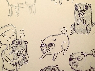 Pug sketches pugs