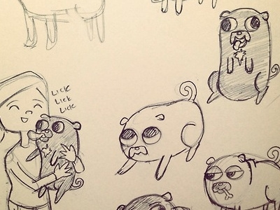 Pug sketches