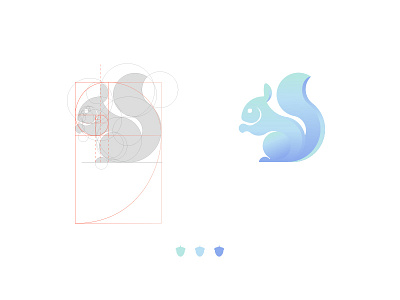 A Squirrel Logo animal circle golden ratio icon illustrator logo mark sketch squirrel