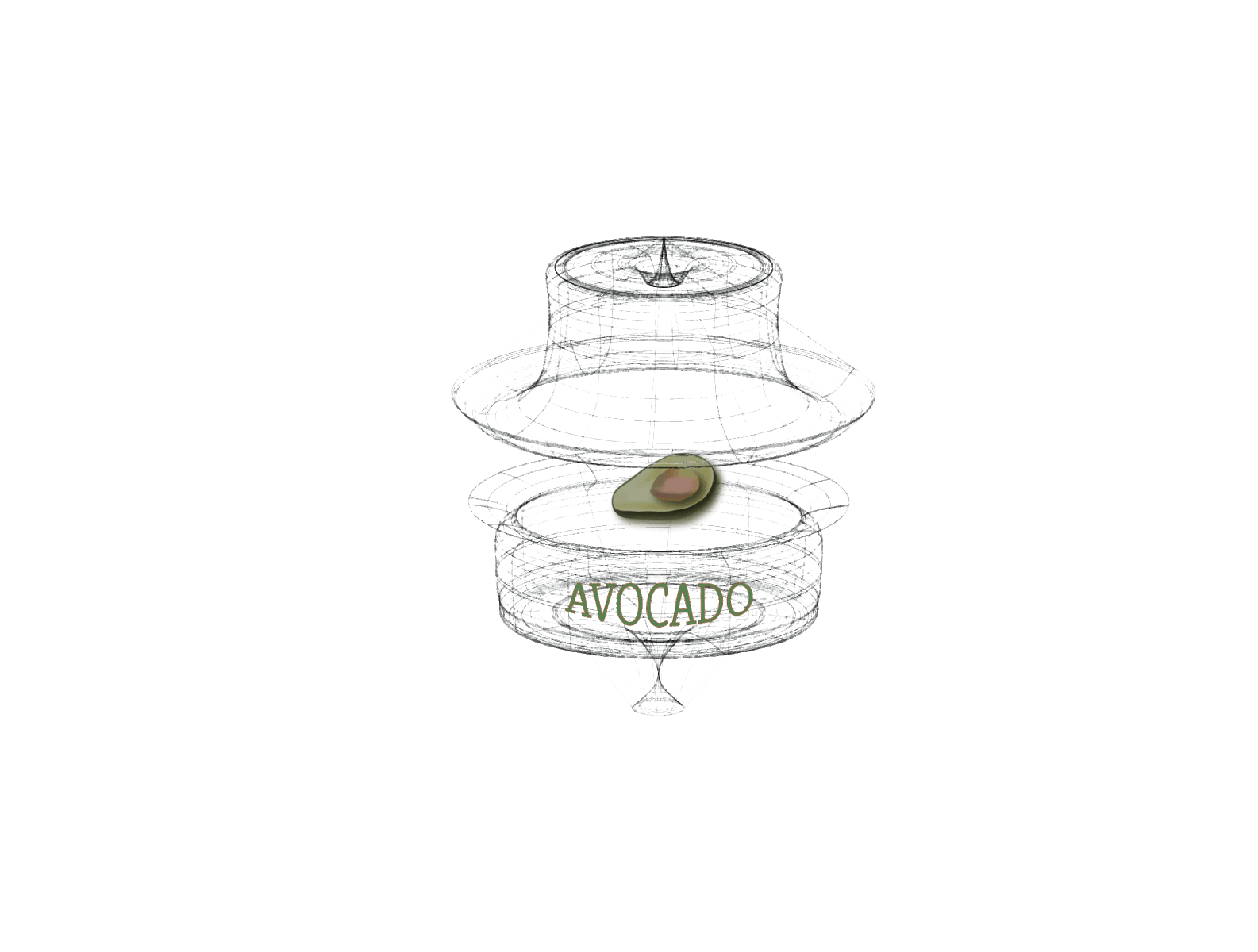 Avocados illustration