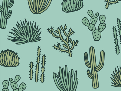 Cactus Pattern arizona az cactus design hand drawn handdrawn illustration pattern plants