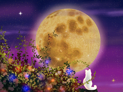 My enchanted moon design digital art enchanted world fantasy art graphic design illustration illustrator magical creatures