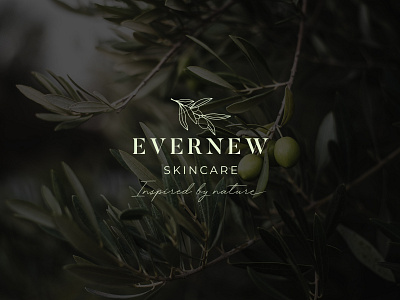 EverNew Skincare | Logo Identity botanical branding graphic design icon logo minimal typography vector