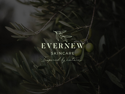 EverNew Skincare | Logo Identity