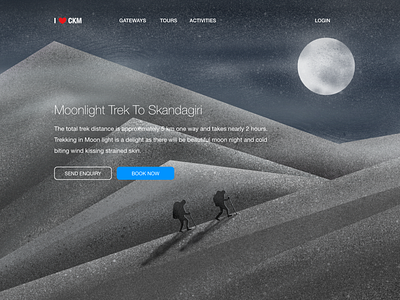 Moonlight trek design illustration moonlight procreate ui user interface web web design