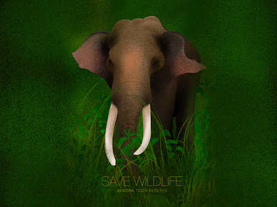 Save Wildlife illustration procreate